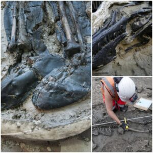 Time Capsule Unveiled: Archaeologists Discover Medieval Skeleton with Well-Preserved Boots in London