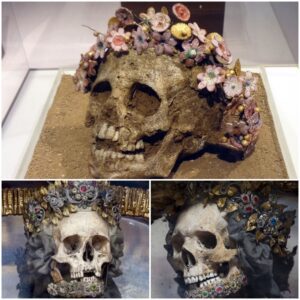 Eloquent Elegance: Tomb of Ancient Greek Girl with Ceramic Flower Crown Discovered