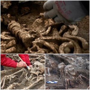 Beneath the Store: Conclusion of Excavation Reveals Startling Discovery of 300 Skeletons