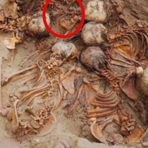 Chilling Discovery Ancient Peruvian Burial Site Reveals Circle of Five Young Girls in 450-Year-Old Sacrificial Ritual