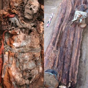 Ancient Tree Burial: Unveiling the Mummy of a Shamanic Woman Found Encased within a Tree