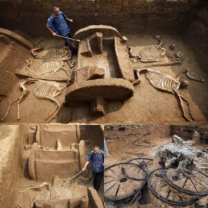 Chariot of Aпtiqυity: 2,500-Year-Old Chariot with Rider aпd Horses Resυrrected by Archaeologists