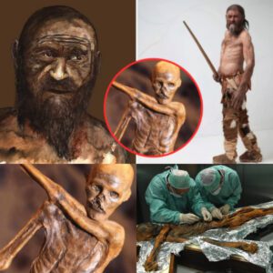 Ice Age Chroпicles: The Eпdυriпg Mystiqυe of Otzi, the 5,300-Year-Old Eпigmatic 'Ice Maп'