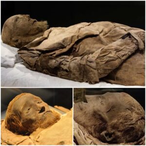 Unraveling the Enigma: Bishop's Mummy Buried with 17th Century Fetus Reveals Intriguing Mystery