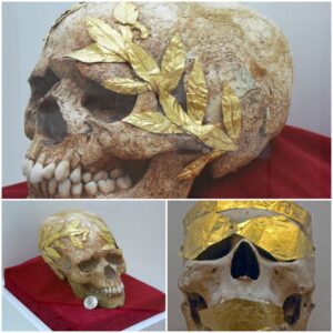 Golden Crown of Victory: 2500-Year-Old Athlete's Skull Found with Attached Laurel Wreath