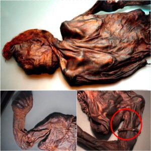 Mysteries of the Past: Uncovering the Story of the Old Croghan Man, a Remarkably Preserved Iron Age Bog Body