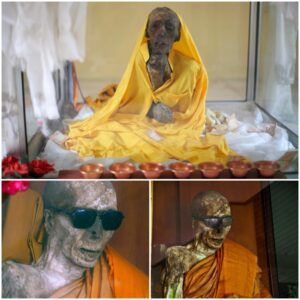 Sangha Tenzin: The Living Mummy Who Initiated Her Own Mummification Process