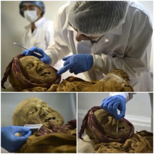 Time-Traveling Remnants: 16th Century Mummy Found in Ecuador in the Aftermath of an Earthquake