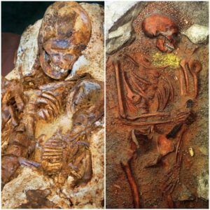 Preserved in Time: Touching Discovery of 4,800-Year-Old Mother and Baby Fossil Embrace in Taiwan