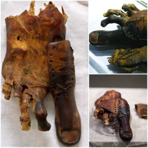 “Ancient Artistry Revealed: 3,000-Year-Old Wooden Toe Sheds Light on Early Prosthetics