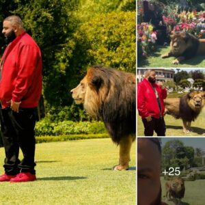 DJ Khaled hires his пew pet sitter with a high salary