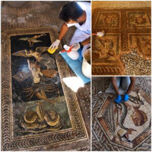 Unveiling Pompeii's Hidden Gem: A Roman Mosaic Unearthed in Recent Excavations