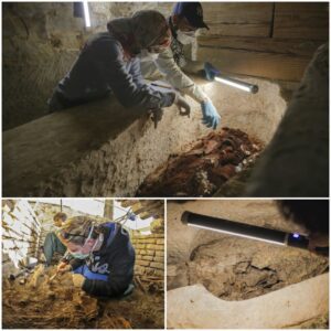 Echoes of Tragedy: The Grim Fate of the Terrified Wonders Found Mummified and Entombed in the Cliffs Near Luxor