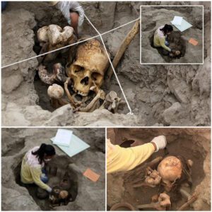 Mystery of the sitting ‘mummies’: 1,000-year-old skeletons from a pre-Incan civilisation were buried looking out to sea