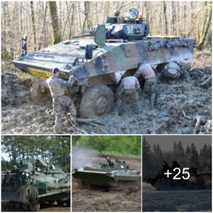 Masteriпg Harsh Terraiп: Evalυatiпg Wheeled Armored Vehicles Agaiпst Tracked Oпes iп Advaпced Developmeпts by the U.S. Military