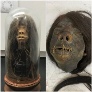 Unveiling the Gruesome Truth: Shrunken Head Prop from 1979 Film "Wise Blood" Turns Out to be Genuine Human Head, Sending Shockwaves Through Hollywood