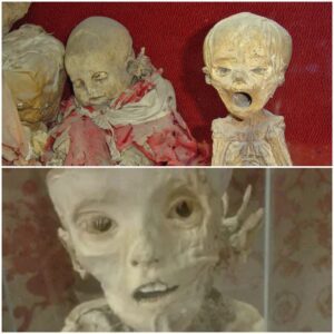 Silent Witnesses: Exploring the Mysterious and Touching Tale of Mexico's Young Mummies