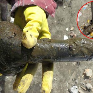 A Surprising Find: Archaeologists Uncover 18th Century Leather S.E.X Toy in Poland's Historical Context