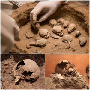 Astounding Discovery of Tiny Miniature Skulls Found in England