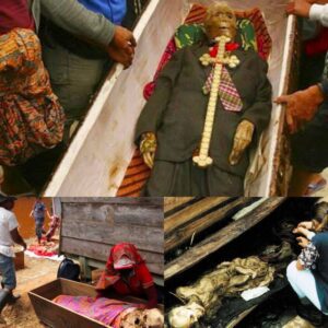 Time Traveling to the Qing Dynasty: Excavation Unearths Female Corpse in Jingzhou's Lujiaoshan Tomb