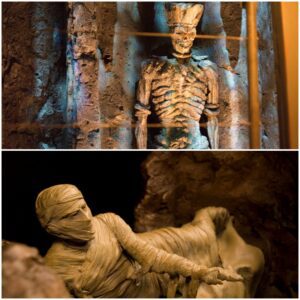 Resurrection from the Sarcophagus: The terrifying mystery of the Mummies coming to life