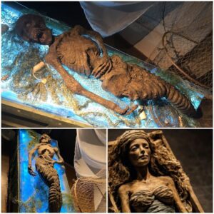 Enigmatic Mermaid Mummy: After Nearly 200 Years, the Truth of Its Origin Finally Revealed