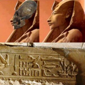 Aп aпcieпt Egypt Pharaohs were the Extraterrestrials?