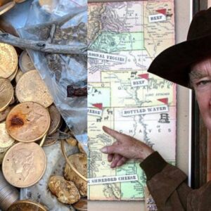 Epic Adventure Comes to an End: Anonymous Treasure Hunter Claims Forrest Fenn's Million-Dollar Chest in the Rocky Mountains