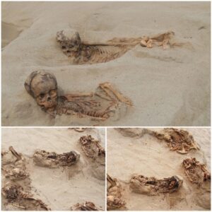 Tragic Revelation: Peru's Grisly Find of 140 Children Sacrificed in 'Heart Removal' Ritual