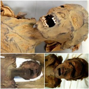 Decoding the Enigma: Unraveling the Secrets of the 'Screaming Mummy' in Ancient Egypt