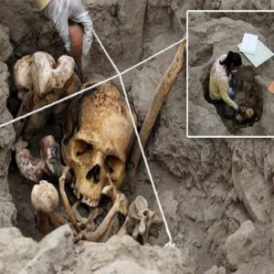 The Enigma of the Seated 'Mummies': Pre-Incan Civilizations 1,000-Year-Old Skeletons Buried Facing the Sea