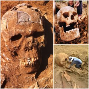 Rewriting History: The Captivating Journey of Archaeologists Unraveling the Mystery of an Enigmatic Nephilim Skull