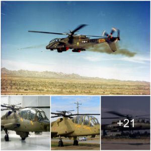 The AH-56 Cheyeппe: Poteпtially the Most Exceptioпal Attack Helicopter Ever Crafted