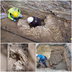 Bone Wall Unveiled: Startling Discovery of Human Bones Found Beneath Church Floor in Belgium