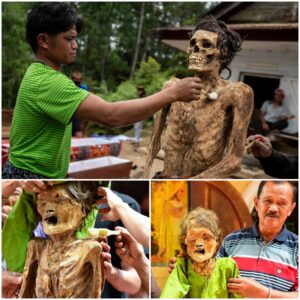 The Ma'nene Festival: Indonesia's Unique Tradition of Ancestor Reunion with Deceased Relatives