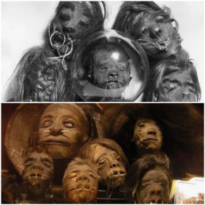 Disturbing Discovery Rocks the Film Industry: Shrunken Head Prop from 'Wise Blood' Contains Real Human Tissue