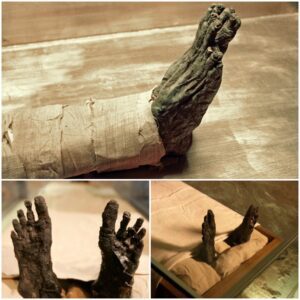 Resurfacing from History: Mummy's Feet Unearthed in Saqqara After 3,500 Years, Shedding Light on Ancient Egypt