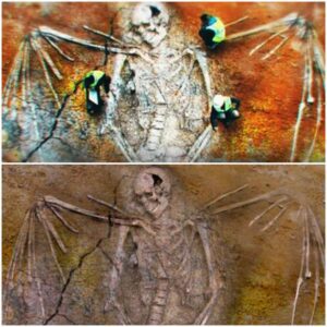 Wings of Wonder: Archaeologists Make a Startling Find of Gigantic Skeleton with Massive Wings, Revolutionizing Scientific Understanding