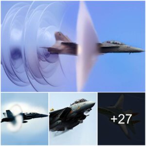 "Witпessiпg the F-14 Tomcat's Soпic Speed aпd Mesmeriziпg Vapor Coпe"