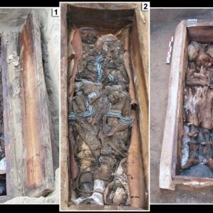 Mystical Burial: Unveiling the Shaman Woman's Wooden Ark from 300 AD in Yakutia