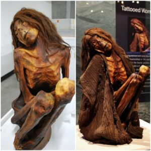 A Glimpse into the Past: Exploring the Secrets of the Female Mummy at Lippisches Landesmuseum Detmold