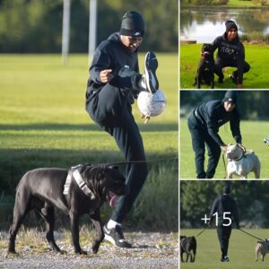 Man United striker Marcus Rashford plays with the ball with his pet dog in the park