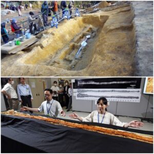 Relic of the Past: Discovering a 4th Century AD 2.3-Meter Long Sword with Wavy Blade at Tomio-Maruyama Mound, Japan