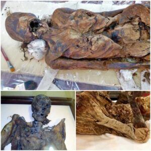 Resurrecting the Past: El-Mezawaa Necropolis Restoration Reveals Intricate Lifestyles of Mummified Inhabitants