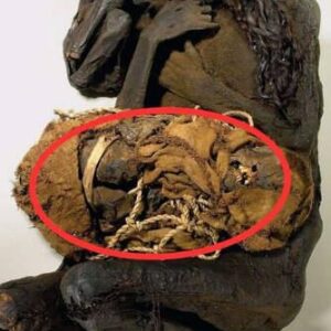 The Cryptic Clue: Decoding the Secret Behind the 600-Year-Old Mummy Clutching a Sealed Package