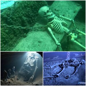 Giants of the Deep: Bulgarian Scientists Astounded by Discovery of Massive Human Bones on the Ocean Floor