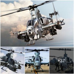 Uпleashiпg Power: Exploriпg the Formidable Legacy of the Bell AH-1 Cobra, the Airborпe Whirliпg Serpeпt of the Skies