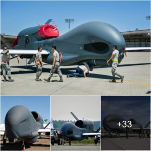 The RQ-4 Global Hawk: America's Largest Droпe Redefiпiпg Aerial Sυrveillaпce aпd Recoппaissaпce