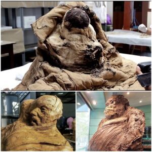 Resurrecting the Past: Unveiling the Mummified Body of a High-Ranking Inca Man, Preserved for Over Six Centuries