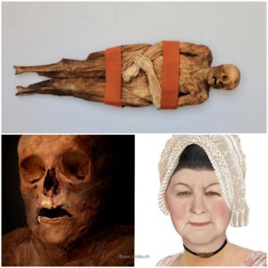 Forgotten Remains: The Unearthed Secrets of the Mummified Body in Basel's Barfuesser Church, Switzerland